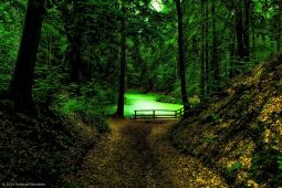 hs19-6811_1200x800-topaz2