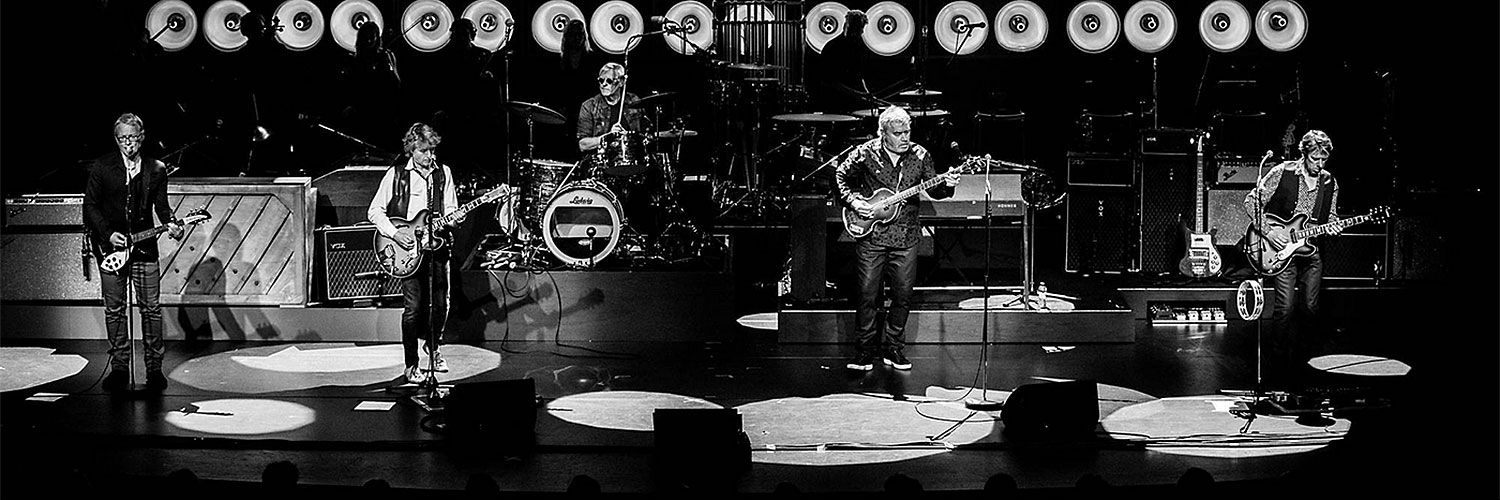 THE ANALOGUES - Perform The Beatles Live!