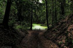 hs19-6811_1200x800-topaz1