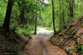 hs19-6811_1200x800-0