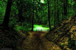 hs19-6811_1200x800-topaz2