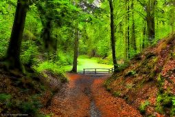 hs19-6811_1200x800-topaz3